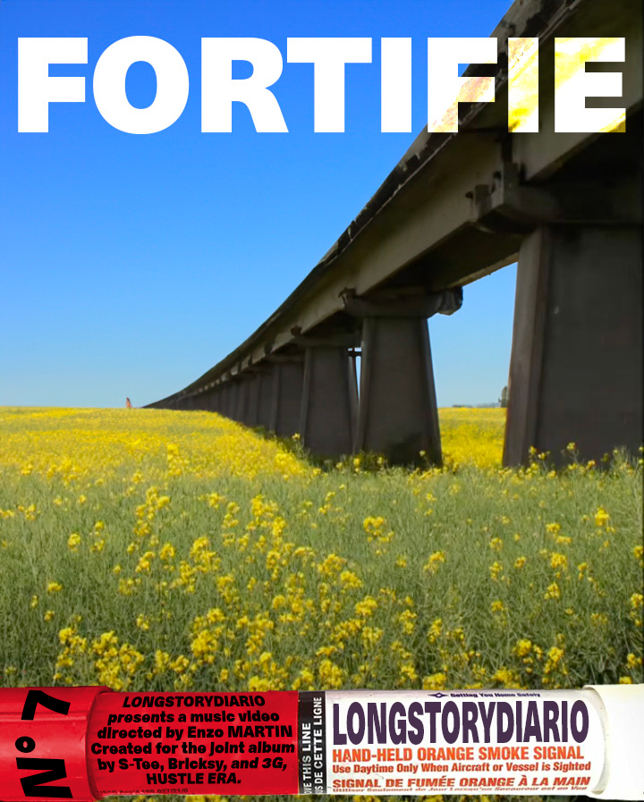 S-TEE, BRICKSY & 3G –&nbsp;FORTIFIE